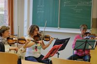 Bratschenprobe